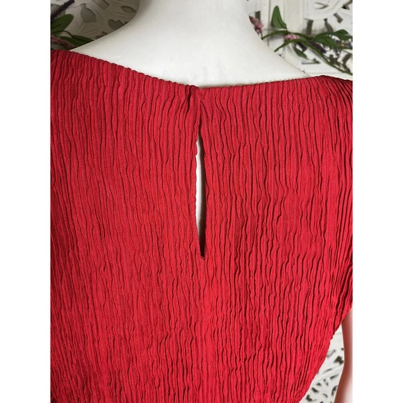 Vintage Roberta California Women’s Red Plisse Formal Dress Size 10 - Picture 10 of 11